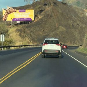 Landmark Turrucares Via Caldera ruta 27